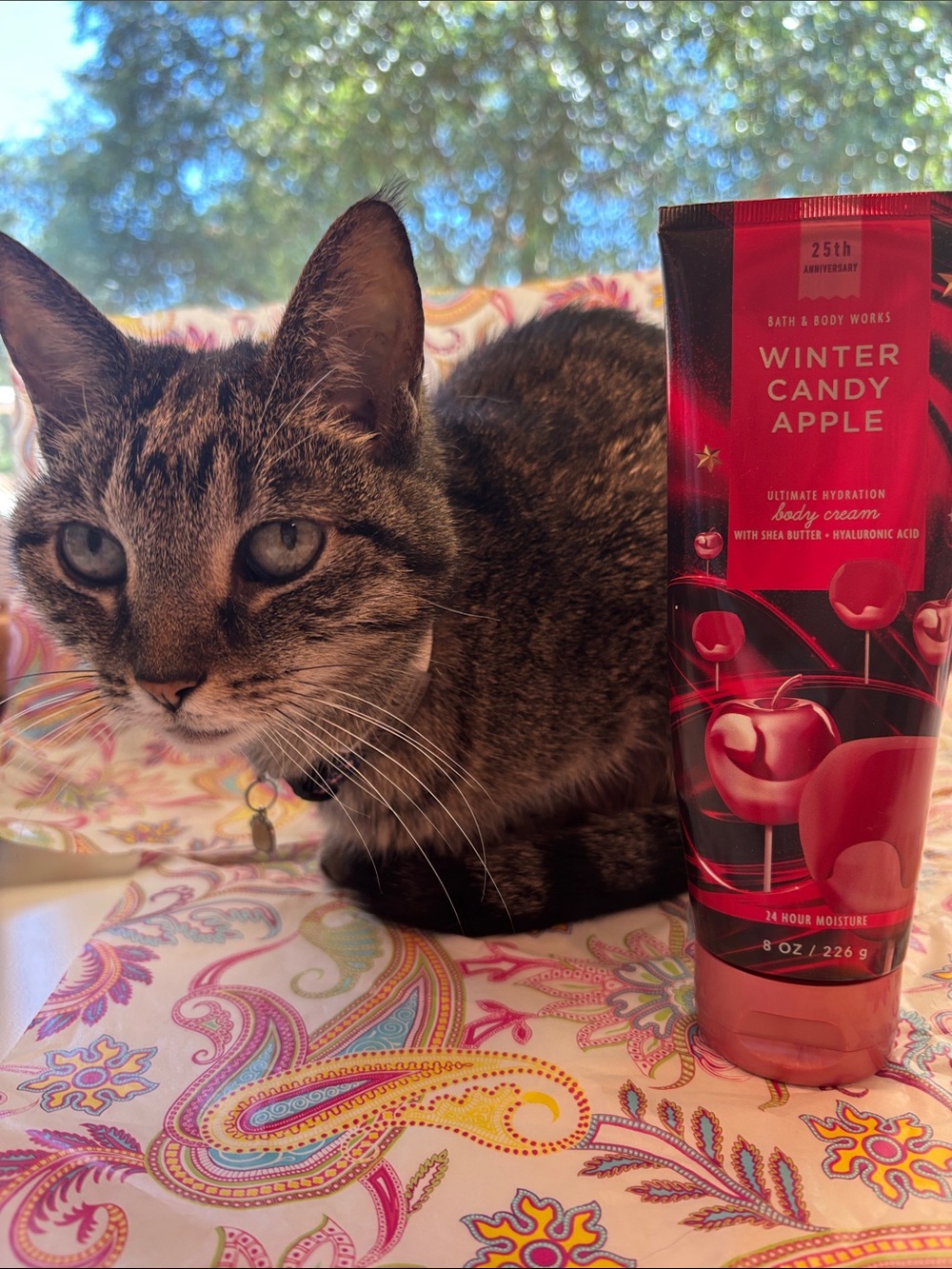Bath & Body Works winter candy apple  Holiday Ultimate Hydration Body Cream